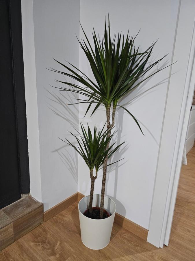 Permar Plz Apartment Barcelona Luaran gambar